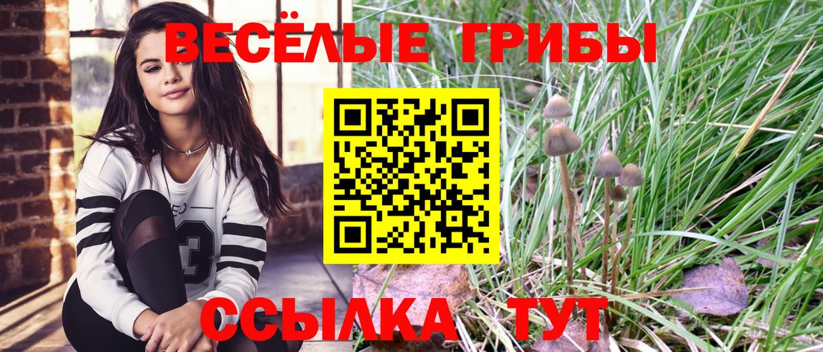 Сосновый Бор  Галлюциногенные грибы мицелий  Вход с VPN 